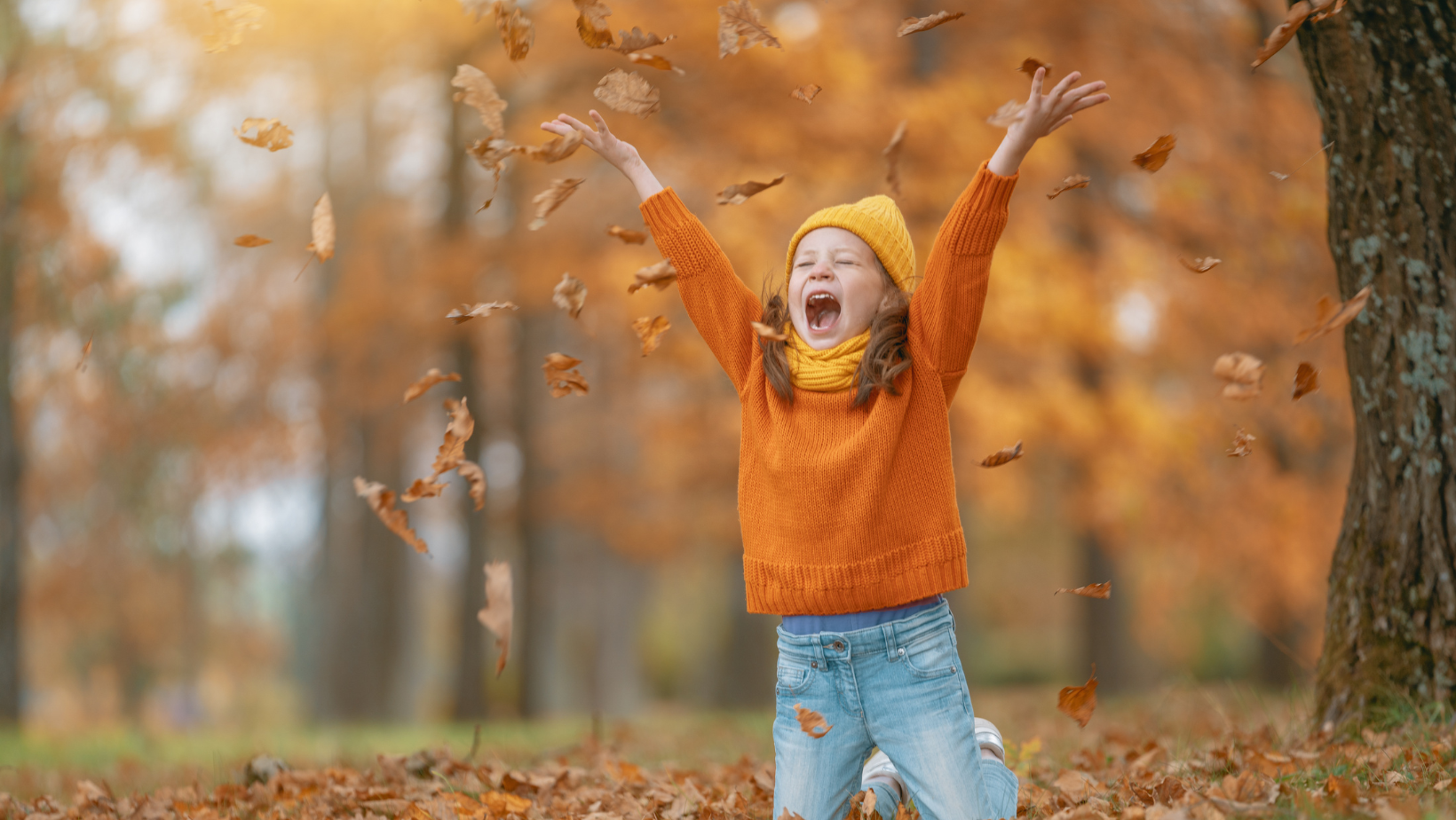 Herbstzeit – Wenn die Natur Abwechslung und Farbe in unser Leben bringt!